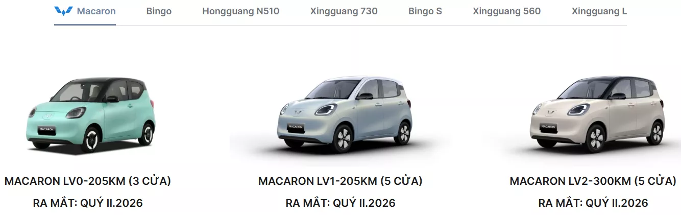 Loạt ô tô điện giá rẻ chuẩn bị đổ bộ thị trường Việt, đón đầu cơn bão giá xăng - Ảnh 2.