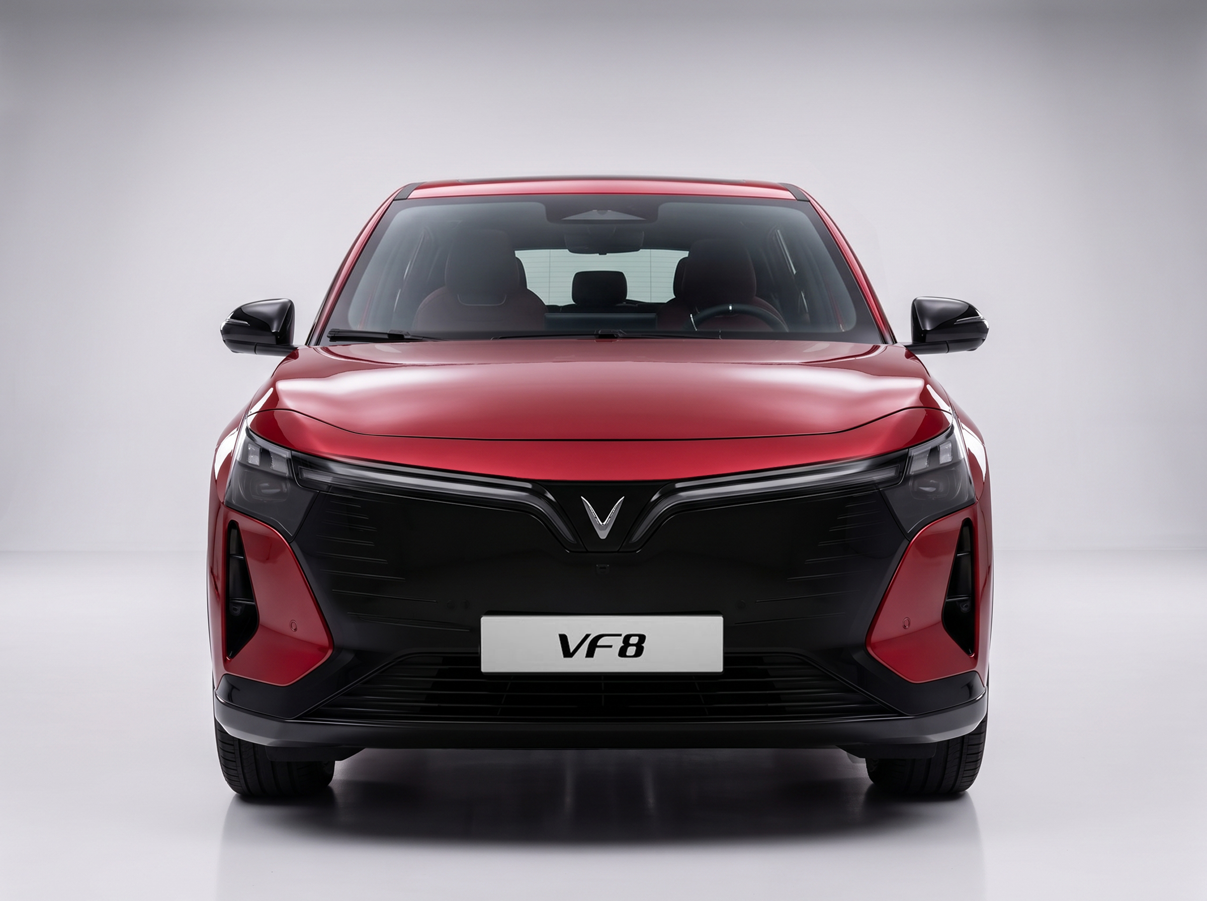 VF 8 1.jpg VF 8 1.jpg