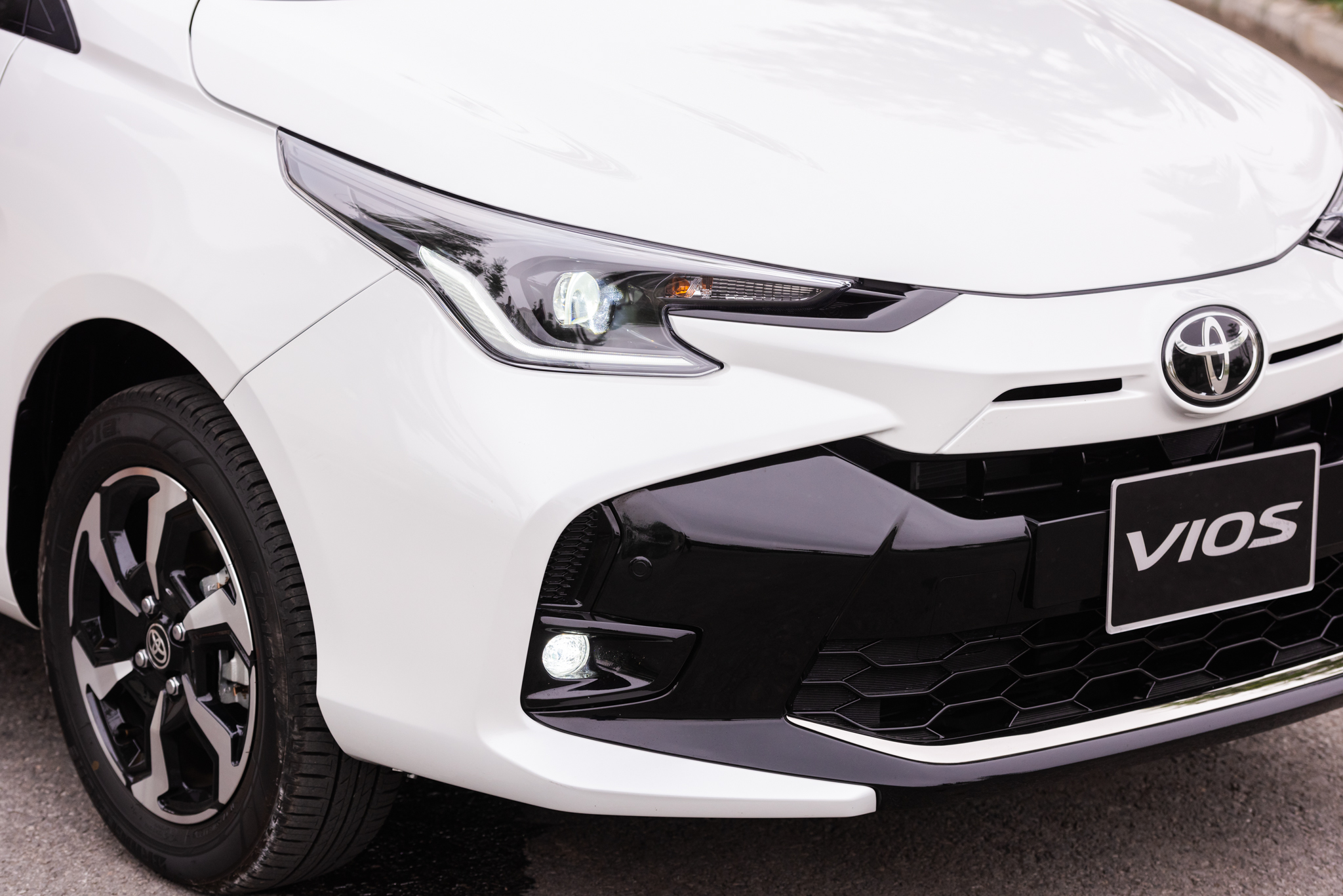 Vios_2023-5.jpg Vios_2023-5.jpg